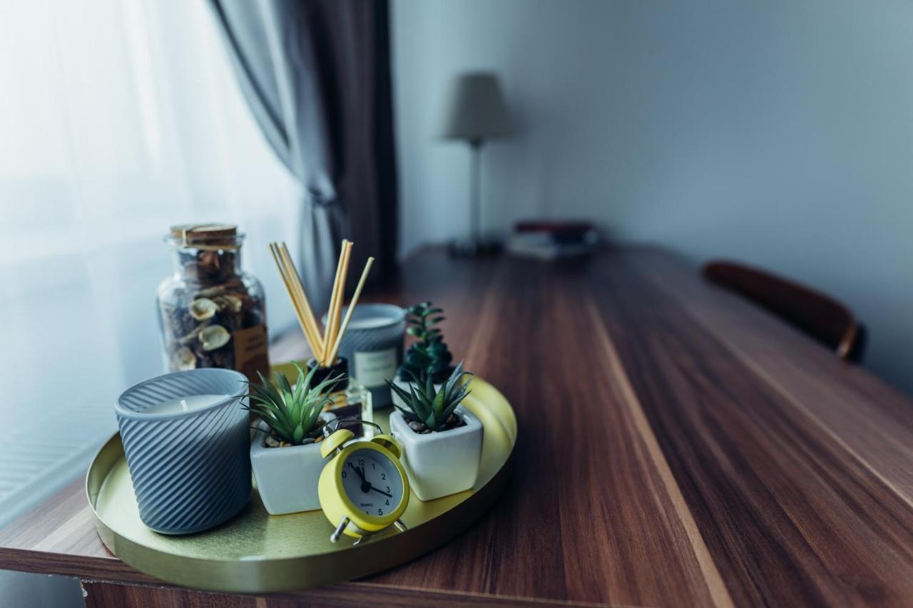 Thome Hoia Studio 1Bedroom كلوج-نابوكا المظهر الخارجي الصورة